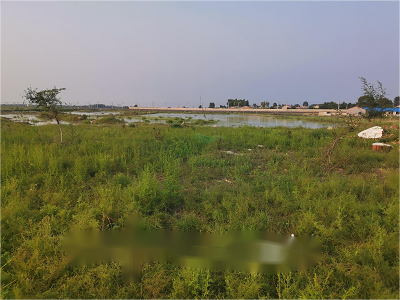 内蒙古自治区通辽市科左中旗保康镇梅林大街北幸福路东住宅用地