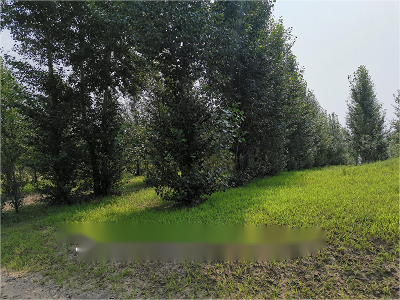 内蒙古自治区通辽市科左中旗花胡硕苏木南柴达木嘎查