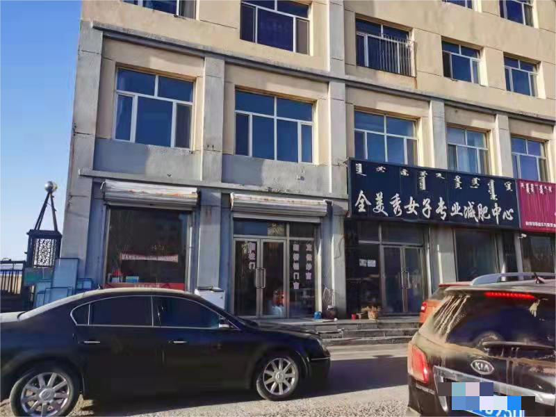 内蒙古自治区锡林郭勒盟东乌旗乌里雅斯太镇五区宝力根街电力小区1-6-111-211号房产
