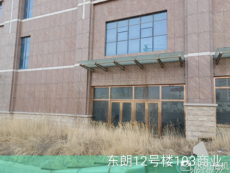 内蒙古自治区鄂尔多斯市杭锦旗锡尼镇林荫北路西侧东朗12号楼103商业房产
