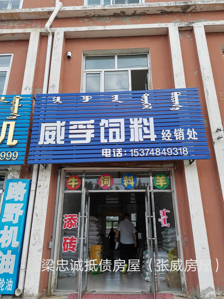 内蒙古自治区通辽市科左中旗宝龙山镇烟灯吐大街南龙山路西西数11号房产