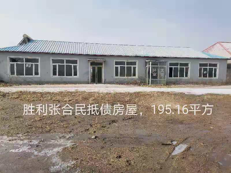 内蒙古自治区通辽市科左中旗保康镇胜利乡塔拉吐村房产