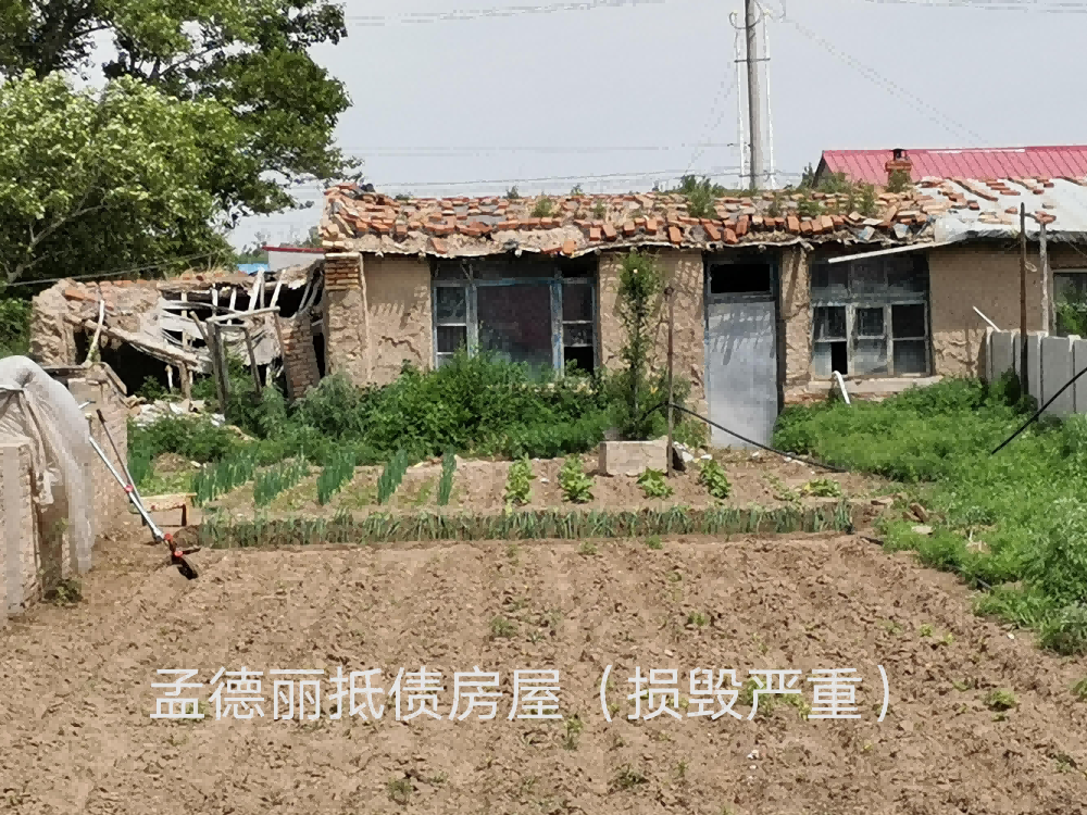 内蒙古自治区通辽市科左中旗保康镇铁东段房产