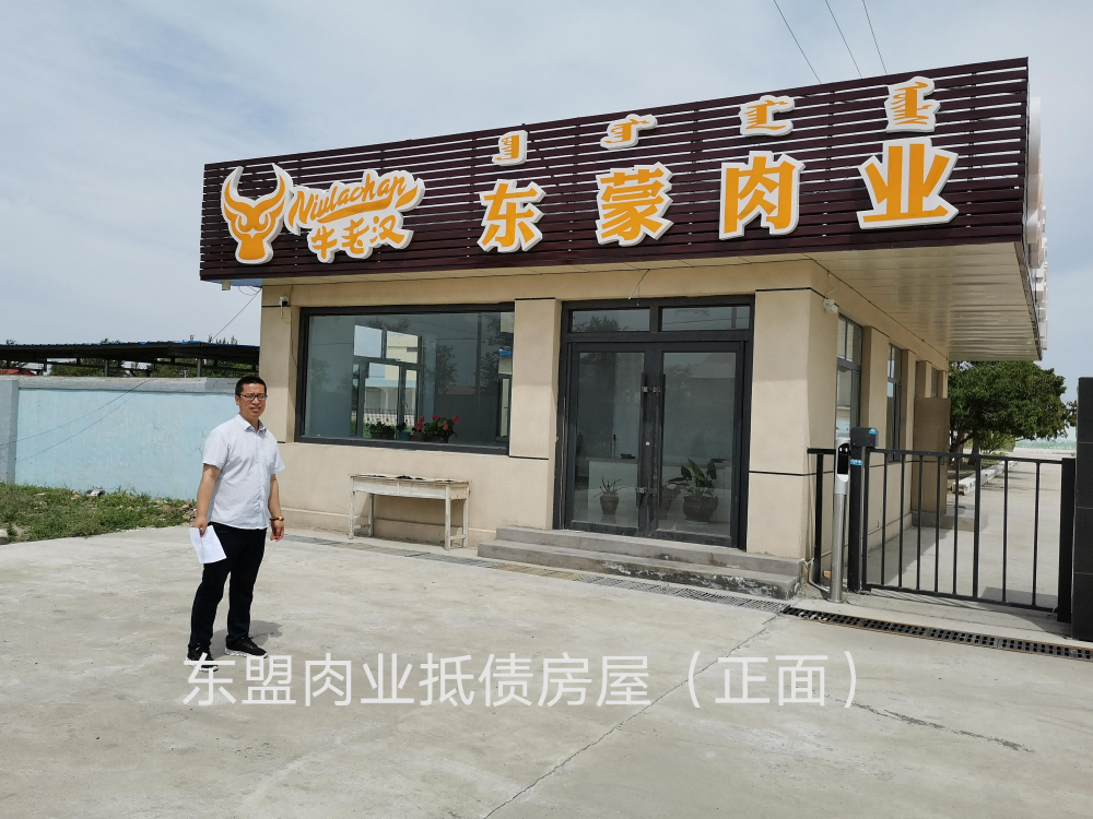 内蒙古自治区通辽市科左中旗保康镇工业园区房产