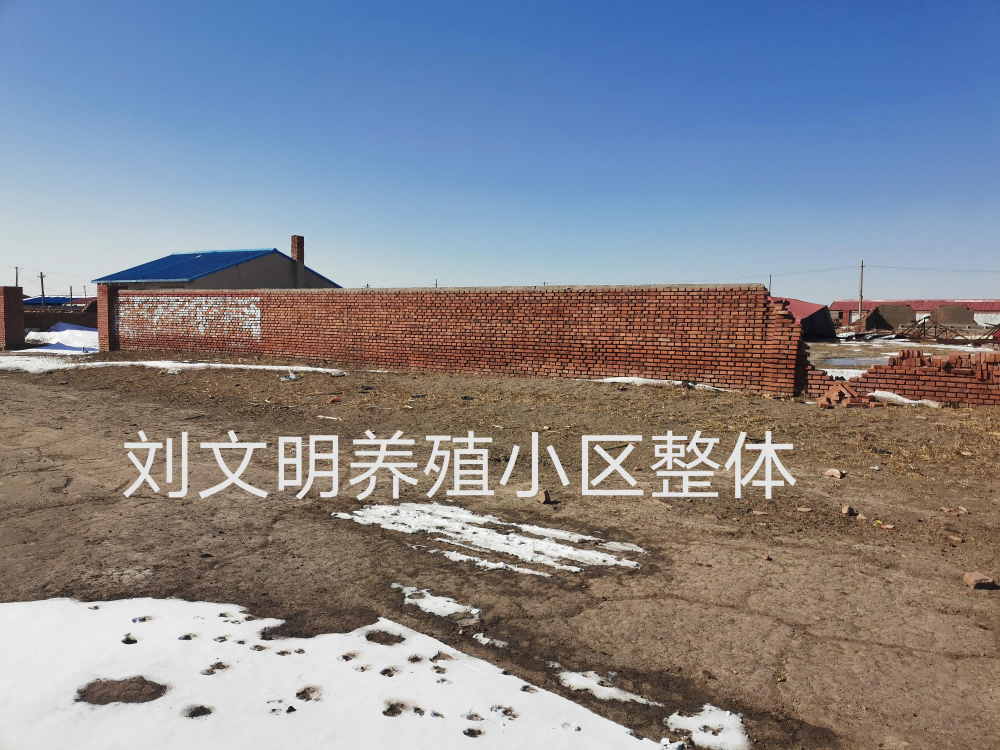 内蒙古自治区通辽市科左中旗花吐古拉镇五家子嘎查房产